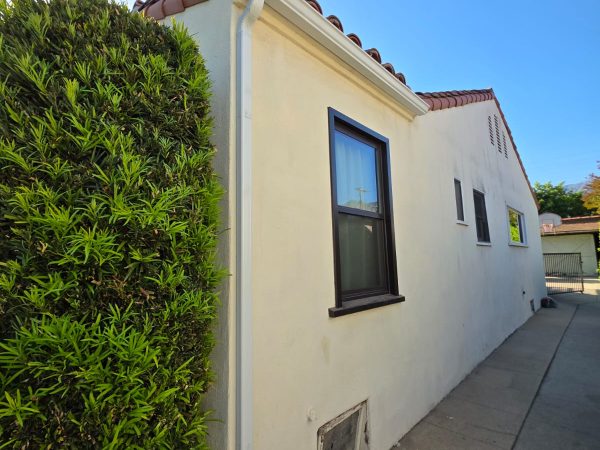 WhatsApp Image 2025-05-31 at 20.46.19_17fea784